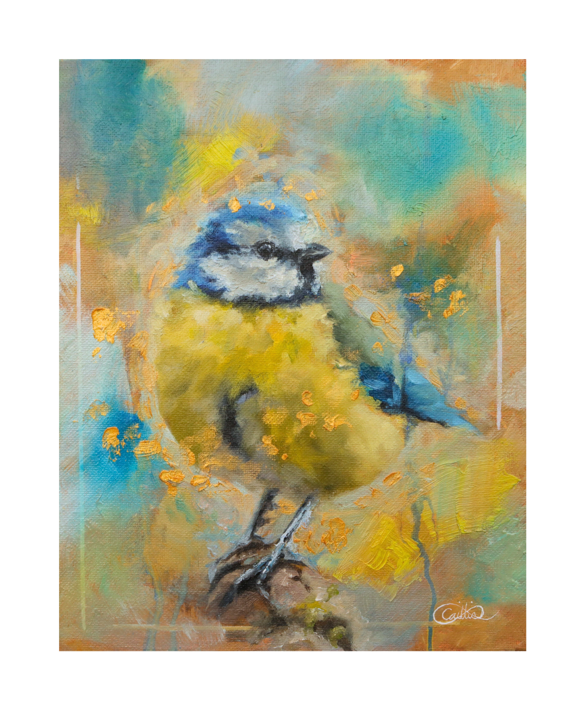 blue tit giclée print limited edition – signed fine art print (edition of 500)
