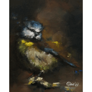 "roderick the robin" giclée print limited edition – signed fine art print (edition of 500) (copy)