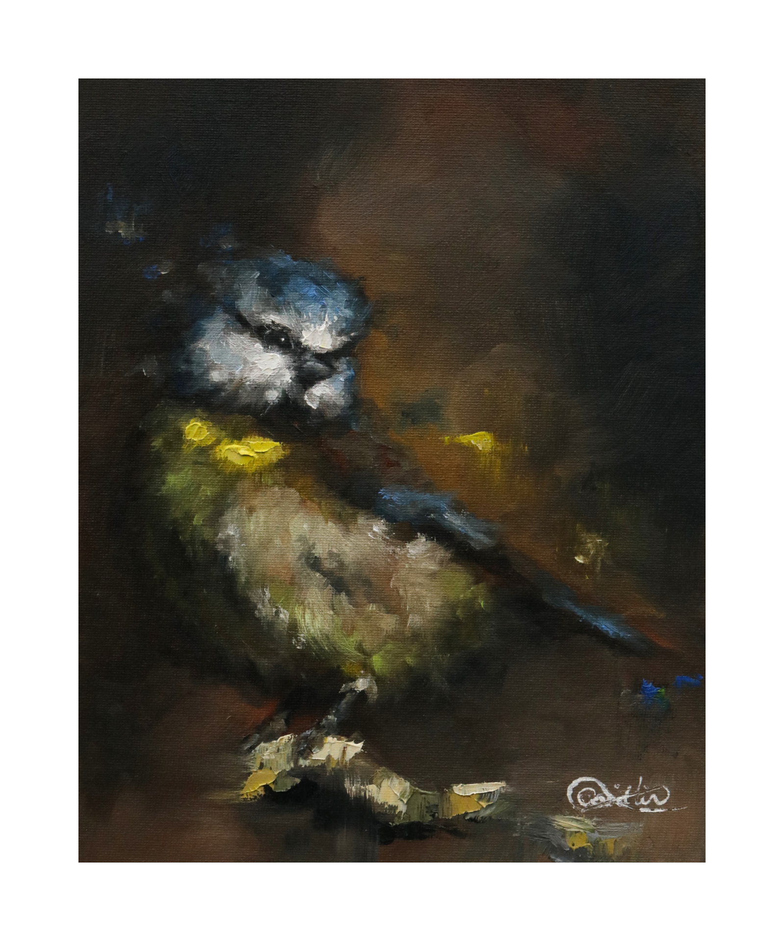 "roderick the robin" giclée print limited edition – signed fine art print (edition of 500) (copy)